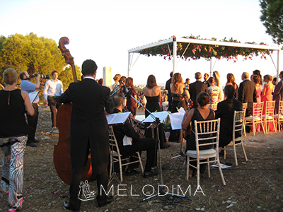 VIP wedding in Politia